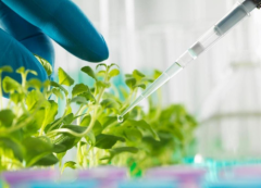 改头换“面”，让肌肤再出发